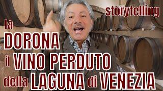 La DORONA (di BISOL), il VINO PERDUTO della LAGUNA di VENEZIA