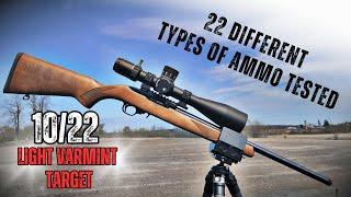 Ruger 10/22  Light Varmint Target : ULTIMATE Accuracy Review