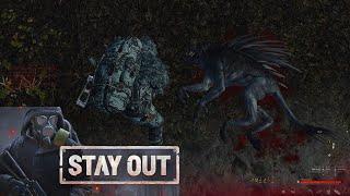 STAY OUT Gameplay / Black Forest - Repey