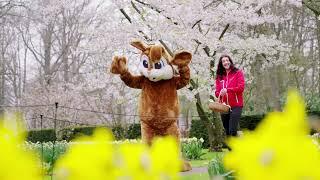 Keukenhof 2023 - Easter