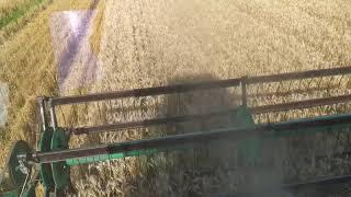 No-Till уборка пшениці після євролайтінга.