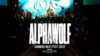 Alpha Wolf (Summer Bast Fest 2025) @Mr.FOX Live House