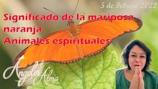 Significado espiritual de la Mariposa Naranja. Animales espirituales