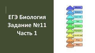 ЕГЭ Биология Задание №11 Часть 1 Лайфхаки! Советы!