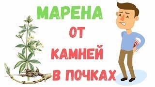 Марена красильная: свойства, польза и лечебное применение - fito.ua