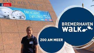 BremerhavenWalk: Zoo am Meer