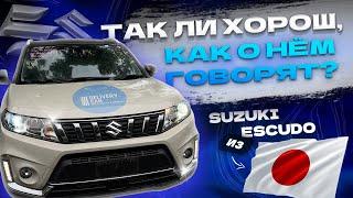  SUZUKI ESCUDO ИЗ ЯПОНИИ | ТАК ЛИ ОН ХОРОШ? | ЧТО ПО ЛИКВИДНОСТИ?