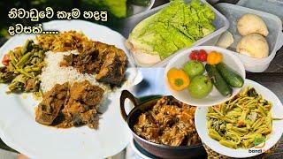 එක සුපිරි කෑමකින් සතියම ගොඩ දා ගත් හැටි  What I made For Lunch | Healthy Lunch - Bandifull Vlogs