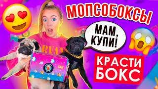 ПЕРВЫЙ МЕРЧ МОПСИКОВКРАСТИБОКС ДРУЖНЫЕ МОПСЫРАСПАКОВКА️+ новинки