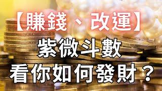 紫微斗數【賺錢改運】如何發大財？麥可大叔30年紫微算命命理老師