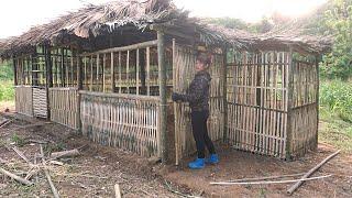 A Single Mother Builds Bamboo House, Harvests Vegetables, and Lives a Simple But Strong Life