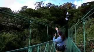 The Monteverde Experience a guided tour by Andres Alvarado