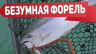 Безумная форель! Ловим форель весной на платнике.