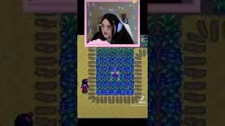 Stardew Valley Silly Fruit #shorts