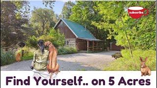 Find Yourself. $107k Log Cabin w/5 Acres in Michigan Woods