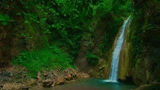 Waterfall sounds for sleeping no music nature water sounds relaxing music Asmr for deep sleep