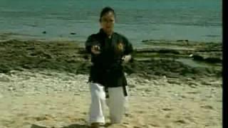 Shinpo Matayoshi - Kobudo