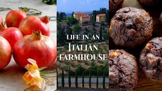 RENOVATING A RUIN: Baking, Building, Gardening in an Italian Farmhouse in Tuscany (Ep 60)