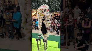 Singapore Shui Lian Gong Dragon & Lion Dance Troupe 首届利达广场新马南狮高桩锦标赛