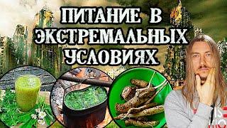 Целебная еда под ногами | Дикоросы в питании | Коронавирус – гид по выживанию.