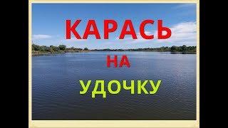 Ловля карася на удочку. Карась.