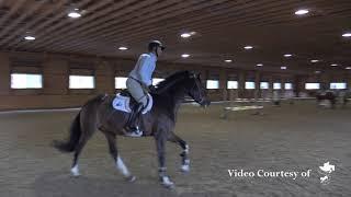 Jeff Cook Clinic: Section I at Torsilieri Show Stables