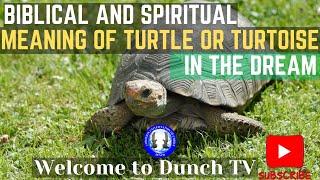 Spiritual Meaning Of Turtle In The Dream--Evangelist Israel Ministries Int'l-Dunch TV