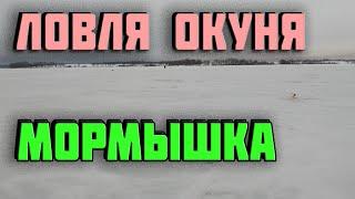 ЗИМНЯЯ РЫБАЛКА. ЛОВИМ ОКУНЯ ЛОВЛЯ ЗИМОЙ НА МОРМЫШКУ. ЛОВЛЯ НА ЖЕРЛИЦЫ.