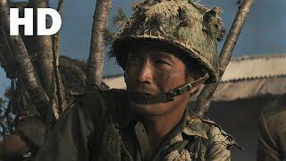 들국화는 피었는데(1974) 복원본 / The wild flowers in the battle field(Deulgughwaneun pi-eossneunde)