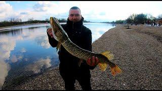 Pecanje stuke na Adi otvaranje sezone - Pike fishing at Ada Lake season opening