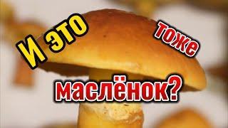 И это тоже маслёнок