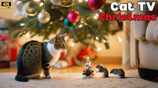 Cat TV for Cats to Watch| Christmas Mouse sand grabbing, hide & seek and playing on full screen 4k