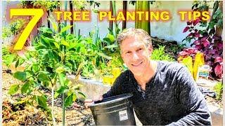 7 TIPS FOR SUCCESSFUL TREE PLANTINGS BY CHARLES J. MALKI OF IV ORGANIC 3-IN-1 PLANT GUARD