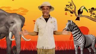 ABC Song | Zoo Crew Alphabet Song for children learning letters