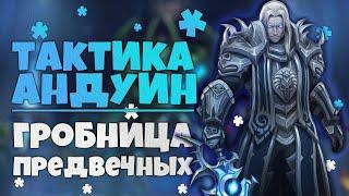 Тактика Андуин Ринн ГЕР | Гробница Предвечных | World of Warcraft Shadowlands 9.2