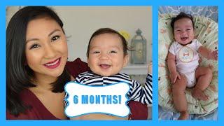 6 Month Baby Update!