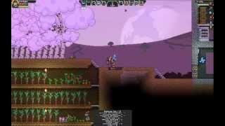 Дюп лута в starbound.