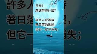 應該等待什麼？拾穗之悅～2024年11月5日
