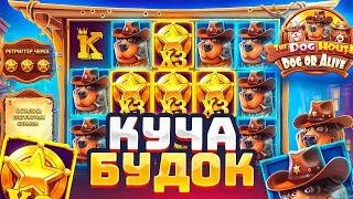 Я КАМБЭКНУЛ В THE DOG HOUSE DOG OR ALIVE НА ПОСЛЕДНЕМ СПИНЕ / Я ТАКОГО НЕ ОЖИДАЛ! ПОДНЯЛ 6.000.000Р