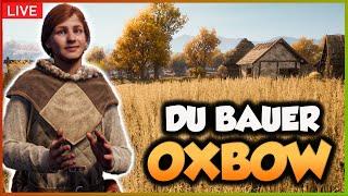 LANDWIRTSCHAFT im WINTER?MEDIEVAL DYNASTY Oxbow 2024 - Gameplay | Livestream | #008