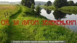 Поза лугом зелененьким. Автентичний спів Донеччини, село Богоявленка Марїнського району