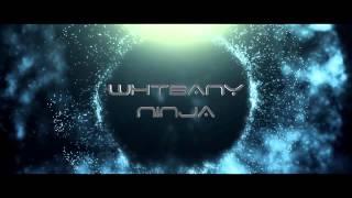 Whtbany Ninja