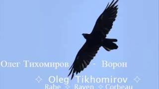 Oleg Tikhomirov rabe raven カラス 乌鸦 갈가마귀 corbeau