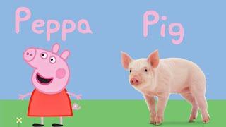 Peppa Pig Characters | Peppa Pig Characters in Real life | Learn Animals With Peppa And George |