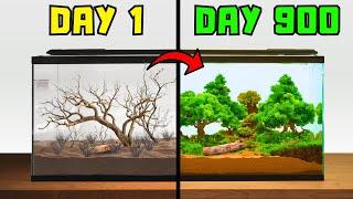 I Let Nature Take Over For 900 Days...