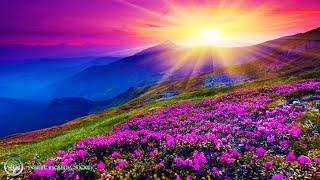 THE BEST GOOD MORNING MUSIC  528HZ Increase Positive Energy - Healing Meditation Yoga Focus Music