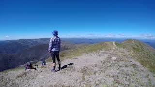 Mt. Feathertop Hike 2017