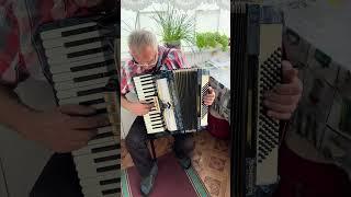 Firotti accordion, 96 Bass, 3 voices, 5+3 registers, Germany accordion, 7/8 accordion, Great sound