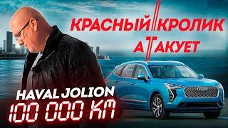 haval jolion с пробегом 100 000 км / красный кролик атакует.