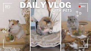 A Regular Day with Pets | Pet Vlog